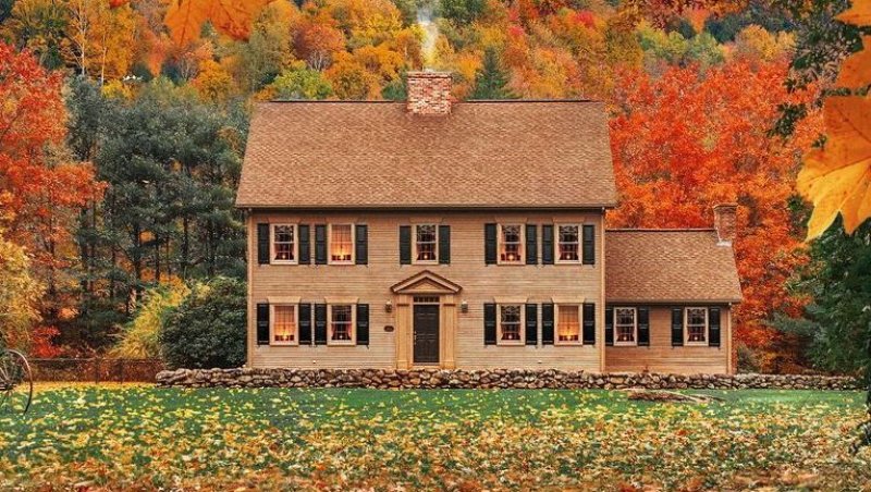 Exterior of home surrounded by trees and orange leaves on the grass